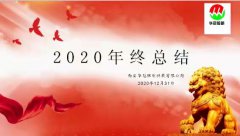 2020年工作总结